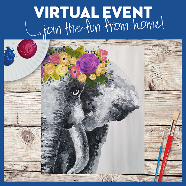 LIVE INTERACTIVE VIRTUAL CLASS